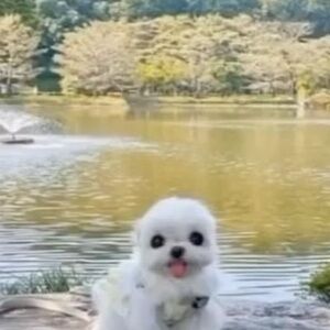 Meet your Posher, Briana